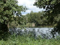 Reckahner Fischteiche