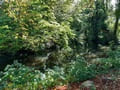 Karthane an der Viesecker Mühle