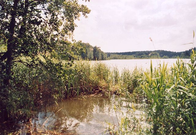 Großer Dolgensee Richtung Kreuzkrug