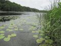 Kleiner Beutelsee