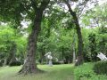 Skulpturenpark am Gutshaus