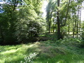 Lennépark