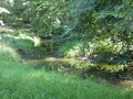 Welse