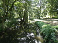 Welse