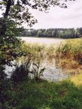 Großer Dolgensee