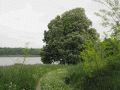 Am Haussee