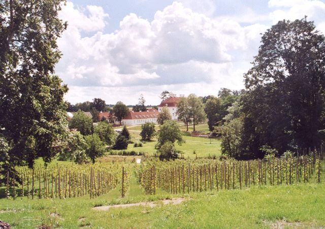 Blick zum Schloss