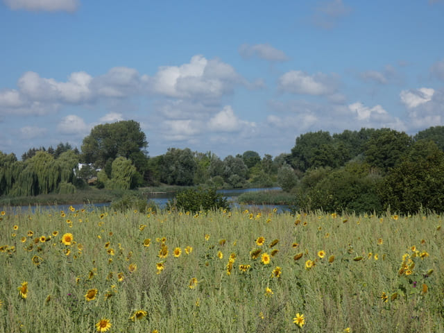 Landschaft am Mühlensee